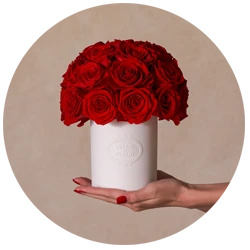 Hand holding a white vase with a bouquet of red roses