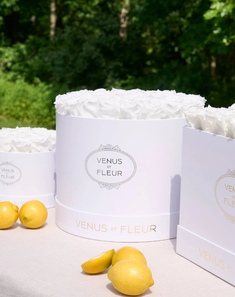 Shop All Eternity Flowers — collection menu — Shop All Classics