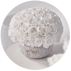 Bouquet of white roses arranged in a round shape inside a gray decorative container with a gold label.